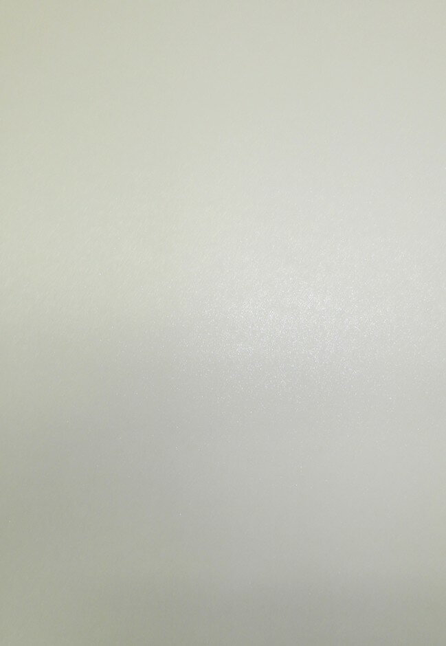 乐天商城 - 3499 PPLS 特殊紙 ファンシーペーパー バラエティ名刺・カード用紙 エンボス A4 (1)ホワイト－シルバーラメ 50枚入
