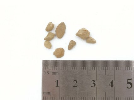 3804 PPLS 珪藻土 顆粒タイプ 工業用 3～6mm 500g