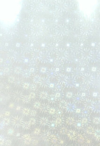 乐天商城 - 3811 PPLS クリアコーティングシール ホログラムタイプ A4 スパークルス 20枚
