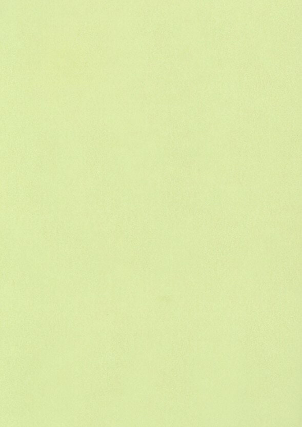 Tracing Paper - 3919 PPLS カラートレーシングペーパー 写し紙 スケルトン紙 A4 0.07mm厚 グリーン 15枚入