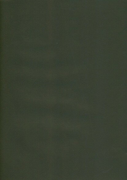 Tracing Paper - 3928 PPLS カラートレーシングペーパー 写し紙 スケルトン紙 A4 0.07mm厚 ブラック 15枚入