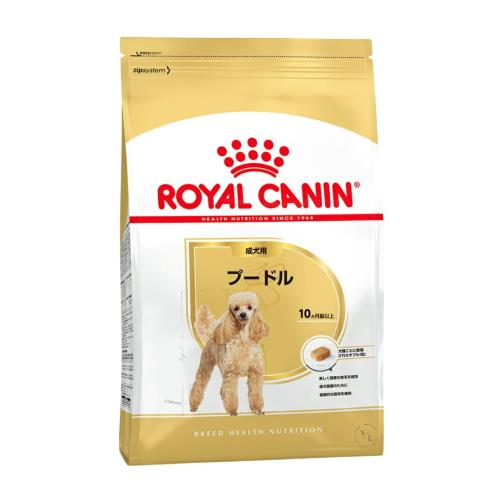 トイプードル 成犬用