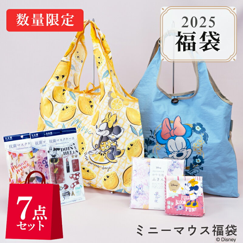 福袋 2024 ディズニー ミッキー ミニー | エコバッグ ふきん ハンカチ タオル 雑貨 レディース プレゼント ギフト ミニーマウス ミッキーマウス Disney 女の子 キャラクター エコバック キャラクターグッズ バッグ 折りたたみ ショッピングバッグ 日用品 マイバッグ 2024年のサムネイル