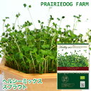 ヘルシーミックス スプラウト の種 オーガニック 有機種子 キッチンファーム アルファルファ 水耕栽培 おうちでベジ かいわれ型 周年まき 家庭菜園 | ブロッ...