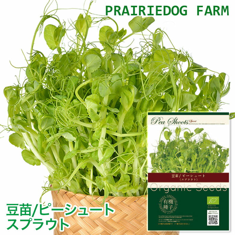豆苗 植物図鑑