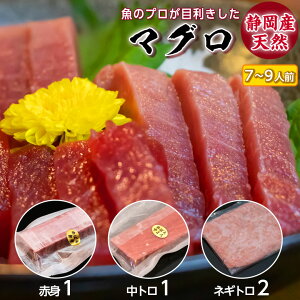 静岡県産 メバチ マグロ 中トロ・赤身とネギトロのセット 送料無料 | ギフト 食べ物 寿司ネタ 冷凍マグロ 刺身 柵 ねぎとろ まぐろ 鮪 刺し身 さしみ お取り寄せグルメ まぐろたたき 手巻き寿司 おつまみ つまみ おかず プレゼント メバチマグロ お歳暮 御歳暮 御歳暮ギフト