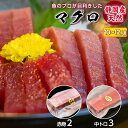 静岡県産 メバチ マグロ 中トロと赤身のセット 送料無料 | ギフト 食品 寿司ネタ おつまみ 冷凍マグロ 刺身 柵 中とろ まぐろ 鮪 刺し身 手巻き寿司 プ...