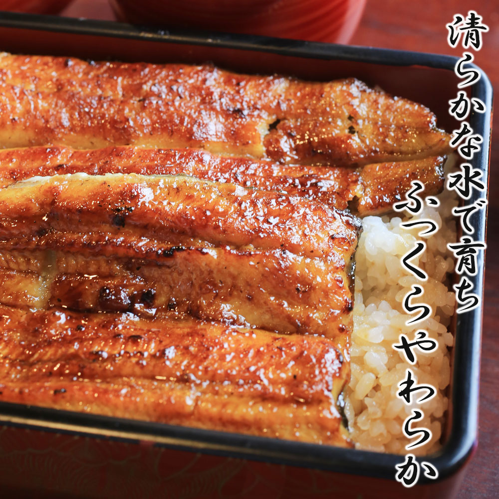 鹿児島県産 うなぎ 国産 蒲焼き 超特大 1尾 | 鹿児島 ギフト 内祝い 鰻 うなぎ蒲焼 九州 鰻の蒲焼 国産うなぎ 高級 食べ物 冷凍 お取り寄せ 贈り物 グルメ 御礼 お返し 敬老の日 長寿 大きい ニホンウナギ 敬老 プレゼント 夏ギフト ウナギ prairiedog-10006217 プレーリードッグ サンプル画像2