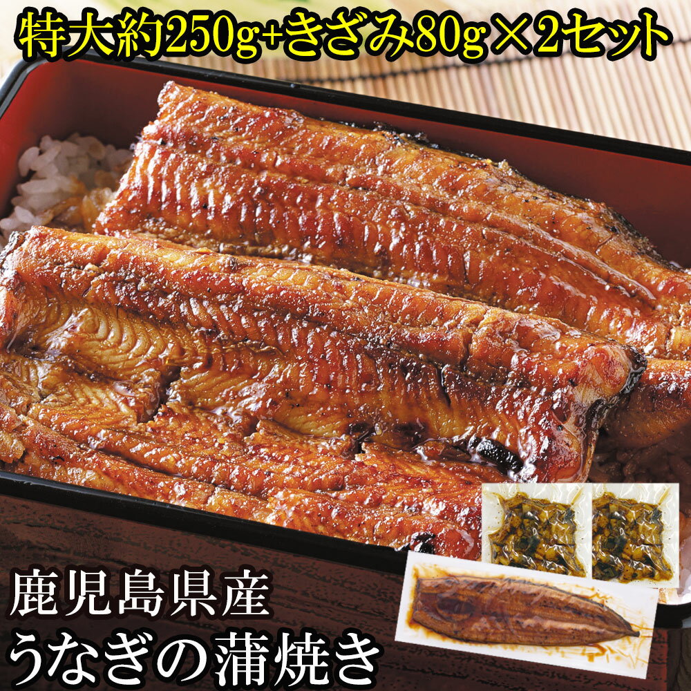 鹿児島県産 うなぎ蒲焼き 1尾 と刻みうなぎ セット 送料無料 |プレゼント ギフト 内祝い 高級 御中元 特大 ウナギ 鹿児島 鰻 うなぎ蒲焼 国産 鰻の蒲焼 国産鰻 ひつまぶし お中元 贈り物 取り寄せ 蒲焼き 国産うなぎ うなぎギフト かば焼き 贈答品 父の日 父の日向き ギフト