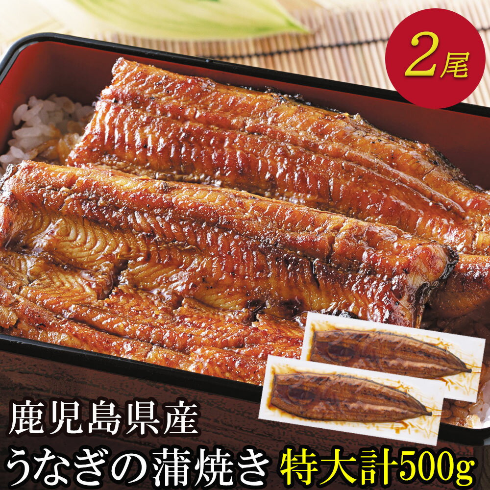 国産 うなぎ 蒲焼き 鹿児島県産 2尾 送料無料 | ギフト お返し 内祝い 高級 産地直送 産直 特大 ウナギ 鹿児島 鰻 うなぎ蒲焼 九州 鰻の蒲焼 国産鰻 誕生日 ご飯のお供 超特大 500g 取り寄せ 国産うなぎ 結婚祝い 贈り物 父の日 かば焼き お祝い