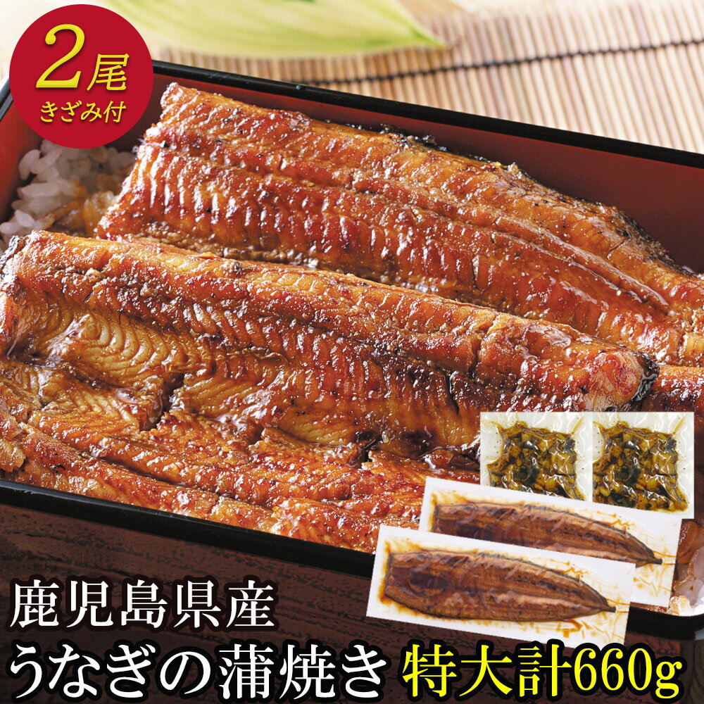 鹿児島県産 うなぎ蒲焼き 2尾 と刻みうなぎのセット 送料無料 | プレゼント ギフト 内祝い 高級産地直送 ウナギ 鹿児島 鰻 うなぎ蒲焼 国産 鰻の蒲焼 国産鰻 ひつまぶし 出産祝い きざみうなぎ 取り寄せ 蒲焼き 国産うなぎ 贈り物 かば焼き お祝い