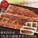 鹿児島県産 うなぎ 蒲焼き 特大 2尾 きざみうなぎ セット 送料無料 | プレゼント ギフト 内祝い ウナギ 鹿児島 鰻 うなぎ蒲焼 国産 蒲焼 国産鰻 ひつ...