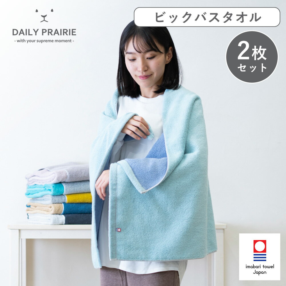 今治タオル バスタオル 大判 リバーシブル 2枚 セット 日本製 ギフト プレゼント タオル 今治 厚手 柔らかい タオルギフト おしゃれ タオルセット 大きめ お昼寝 ケット 大きい ふんわり 父の日 大判タオル 綿 タオルケット ブランケット