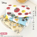 Disney ディズニー かやのふきん 蚊帳のふきん 奈良の蚊帳生地 | プレゼント ギフト プチギフト 退職 お返し お礼 蚊帳生地ふきん 台ふきん 食器ふき...
