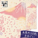 フラワー　壁掛け 手ぬぐい しだれ桜と富士山 和布華 てぬぐい 春模様| ハンカチ プチギフト 退職 お礼 ギフト ちょっとした プレゼント 女性 季節 タペストリー 手拭い 桜 絵手ぬぐい 注染 レディース 花柄 壁掛け ふきん 春 母の日 実用的 花以外 風呂敷 柄 ミニギフト 母 和柄 かわいい