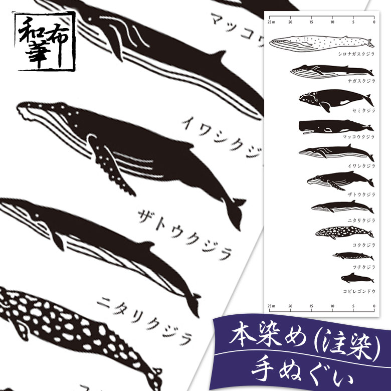 手ぬぐい クジラの寸法 和布華 てぬぐい 和柄 | おしゃれ ハンカチ ちょっとした プレゼント 日本製 レディース 女性 プチギフト ギフト季節 タペストリー 布 壁掛け くじら ふきん 手拭い お弁当 注染 日本手ぬぐい 日本手拭い おばあちゃん 贈り物 ロング クジラ