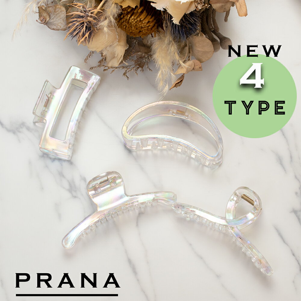 【 NEW 選べる4タイプ 】アレルギーフリー ヘアークリップ クリップ 取れにくい 外れにくい クリアー アレルギーフリー ヘアアクセサリー ヘアゴム メタル...