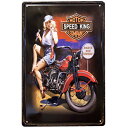 アンティークメタルエンボスプレート(S)AntiqueMetal Emboss PlateS-Size【Z233−SPEED KING GIRL】