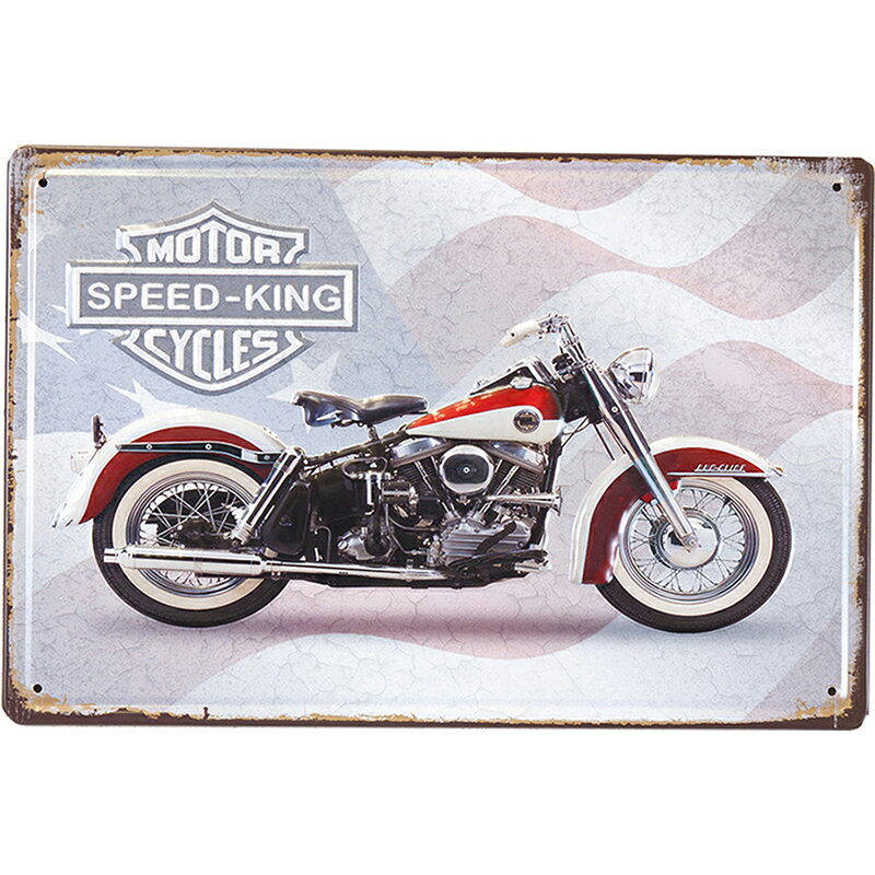 アンティークメタルエンボスプレート(S)AntiqueMetal Emboss PlateS-Size【Z-258－SPEED KING FLAG】