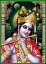 ɤο ꥷʿΤꥫ()1[005]India GodkrishnaSmall Card(charm) ڿۡΡۡڰ̥ۡۡϡ̥ۡλۡڤ