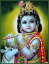 ɤο ꥷʿ(ľ)Τꥫ()1[004]India Godkrishna(Childhood)Small Card(charm) ڿۡΡۡڰ̥ۡۡϡ̥ۡλۡڤ