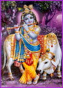 奢ƥPRANA㤨֥ɤο ꥷʿ(ľΤꥫ(1[010]India Godkrishna(ChildhoodSmall Card(charm ڿۡΡۡڰ̥ۡۡϡ̥ۡλۡڤۡפβǤʤ110ߤˤʤޤ