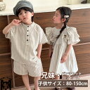 キッズ 韓国 子供服ストライプ 上下セット ワンピース 女の子 ボーダー 男の子 可愛い 兄妹お揃い アロハ シャツ パンツ 夏服 ビーチウエア ジュニア 子ど...
