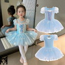 女の子バレエダンス衣装 スパンコールバレエドレス ワンピース チュチュスカート 社交ダンス衣裳 tutu子供チュールワンピース 発表会 半袖ワンピース ダンス 衣装 女の子 バレエ 練功服 トレンチ衣裳 発表会 合唱 ステージ衣装 舞台 演出服(4)