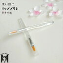 【業務用・使い捨て】リップブラシ 使い捨て 化粧 メイク 業務用 口紅 テスター 美容室 紅筆 刷毛 テスター 業務用 ネイル アートブラシ メンズコスメ コン...