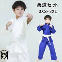 柔道着 授業用 中学 柔道 上下セット 高校生 子供 大人 キッズ 綿 柔道衣 授業 上下白帯セット ジュニア 男女兼用 道着 子供用 ホワイト ブルー 中学生...