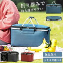 保冷 バスケット 保冷バック クーラーバスケット ゴルフ 保冷バスケット 折りたたみ 保温 ゴルフ ランチボックス 収納 保温バッグ おしゃれ お花見 グッズ クーラーバッグ バッグ エコバッグ 軽量 アウトドア 熱中症対策 大容量 運動会 ピクニック 子供 遠足 持ち手付き