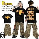 迷彩カーゴパンツ ダンス衣装 キッズ セットアップ 半袖 tシャツ 迷彩パンツ ダンスパンツ 裾絞り ゆったり 上下セット かっこいい 韓国 ヒップホップ ダンス衣装 ジャズ チアダンス 子供 練習着 ステージ衣装 ダンス発表会 おしゃれ 応援団 団体服 運動会 120-180