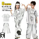 野球風 tシャツ シルバー キッズダンス衣装 セットアップ ヒップホップ tシャツ 半袖 ゆったり カーゴパンツ 光沢 k-pop 衣装 韓国 光沢 カコイイ 男の子 女の子 ヒップホップ ゆるシャツ キッズダンス衣装 HIPHOP 発表会 演出服 練習着 子供 中学生 高校生 応援団 110 170cm