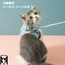 ハーネス 猫 犬 リード付き 快適手触り 大型種適用 サイズ多数 オリジナル 反射光 猫ハーネス 猫ウェア 犬用品 猫用品 キャット ドッグ 3XL 13kg対...