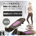 【送料無料】ウォーキング健康ステッパー 男女兼用フィットネス用エクササイズマシン 有酸素運動/筋トレ用に最適(4)