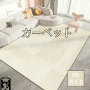 カーペット ラグ マット 絨毯 長方形 大きいサイズ 敷物 玄関マット フロアマット おしゃれ 高級感 アーティスト 洗える 室内マット 床暖房対応 オールシーズン ウォッシャブル ズレにくい 北欧 ラグカーペット ホットカーペット対応 秋冬用 センターラグ 新生活 引越し