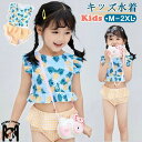 ベビー水着 女の子 水着 セパレート 上下セット フリル ビキニ 女児 キッズ 女の子水着 上下セット かわいい キッズ水着 2点セット 子供水着 ガールズ 水着 スクール水着 プール 海水浴 ビーチ 温泉 水遊び 練習用 幼稚園 こども みずぎ 赤ちゃん レッスン スイムウェア(4)