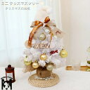 クリスマスツリー 卓上 60cm LEDイルミネーション 卓上 ミニツリー DIY 組み立て簡単 キラキラ 雰囲気満々 クリスマスデコレーション インテリア イ...
