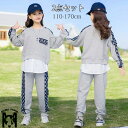 ジャージ キッズ 女の子 上下 長袖 秋冬 子供服 セットアップ 2点セット Tシャツ パーカー ロングパンツ スポーツウェア 運動着 可愛い おしゃれ 110cm 120cm 130cm 140cm 150cm 160cm 女の子 上下セット スウェット スポーツウェア 運動着 体育