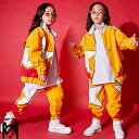 子供 ヒップホップ ダンクトップ シャツ キッズ ダンス 衣装 ギンガムチェック tシャツ サルエルパンツ セットアップ 女の子 ダンス衣装 HIPHOP ダンス衣装 ジャズダンス ステージ衣装 キッズ ダンス 衣装 チェック衣装