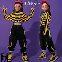 キッズ ダンス 衣装 子供 ヒップホップ ダンクトップ シャツ ギンガムチェック tシャツ サルエルパンツ セットアップ 女の子 ダンス衣装 ジャズダンス ステージ衣装 キッズ ダンス 衣装 チェック衣装 HIPHOP ダンス衣装