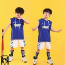 キッズ ダンス 衣装 子供 ヒップホップ ダンクトップ シャツ ギンガムチェック tシャツ サルエルパンツ セットアップ 女の子 ダンス衣装 ジャズダンス ステージ衣装 キッズ ダンス 衣装 チェック衣装 HIPHOP ダンス衣装