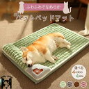 送料無料 犬 ベッド ふわふわ 小型犬 ペットベッド あったか 犬のベッド 洗える 枕付き おしゃれ 暖かい かわいい 犬用 猫用 取り外せるカバー 高反発 介...