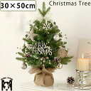 クリスマスツリー 卓上 クリスマスツリー 30×50cm 北欧 小型 ミニツリー クリスマス飾り オーナメント おしゃれ 雪化粧 クリスマス雑貨 置物 玄関 室内 雰囲気満々 暖かい 飾り 部屋 商店 おもちゃ サンタクロース サンタ プレゼント