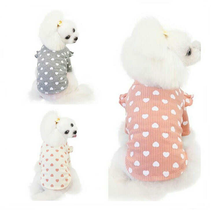 �ںǽ��Ͳ����۲İ����ϡ��ȥץ��� ����ѡ������ɥå������� �ڥå��ѥ��åȥ��� T����ĥ����� ���� ���Ф��������� ��������� ���� �����奢��ǥ����� ��...