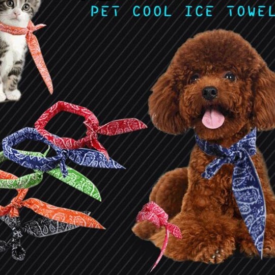 犬 猫 兼用 クールネック クールバンダナ 1メートル ひんやり 冷感 タオル 熱中症予防 暑さ対策 お散歩 お出かけ用 散歩グッズ 春服 夏 涼しい 快適 服 ペット用品 ドッグウェア ペットグッズ ネッククーラー サイズ豊富 犬用 猫用 ひんやりグッズメール便OK【a069】