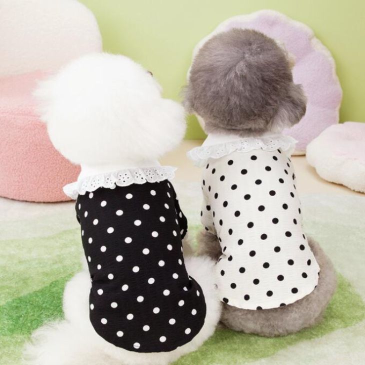 新作 超!可愛い 秋服 犬服 小型犬服 水玉 ドット柄 おしゃれ モノトーン レース 袖あり ペアコーデ 襟つき 半袖 かわいい 春シャツ 春トップス パピー ワンちゃん 犬用品 犬洋服 猫洋服 猫【a366】【送料無料】