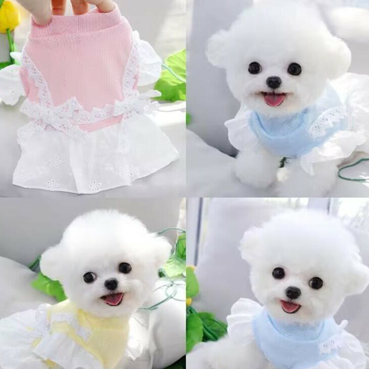 かわいい 犬服 秋服 新作 爽やか トップス カラフル 小型犬服 超可愛い ペット服 犬服 猫服 犬用 毛抜け防止 ペット用品 犬 服 プチプラ レース メール便OK【a293】送料無料
