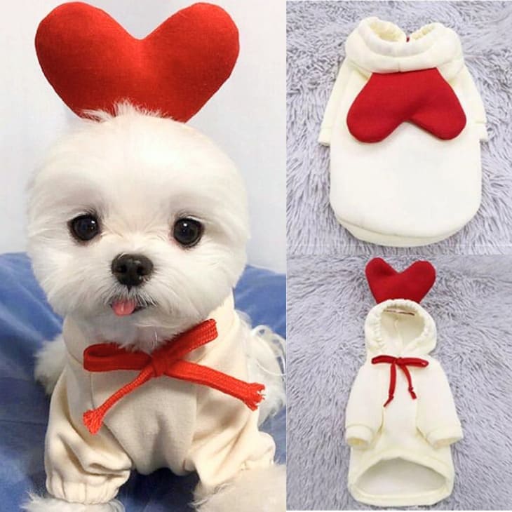 �� �� �ա��� ���� �Ȥ����ɥå������� �ѡ����� ���ꥹ�ޥ� ���� ��� �ˤ󤸤� �Хʥ� �ڥå��� �ڥå� �� ���� ���� ������ �������塼�� �����ץ�...
