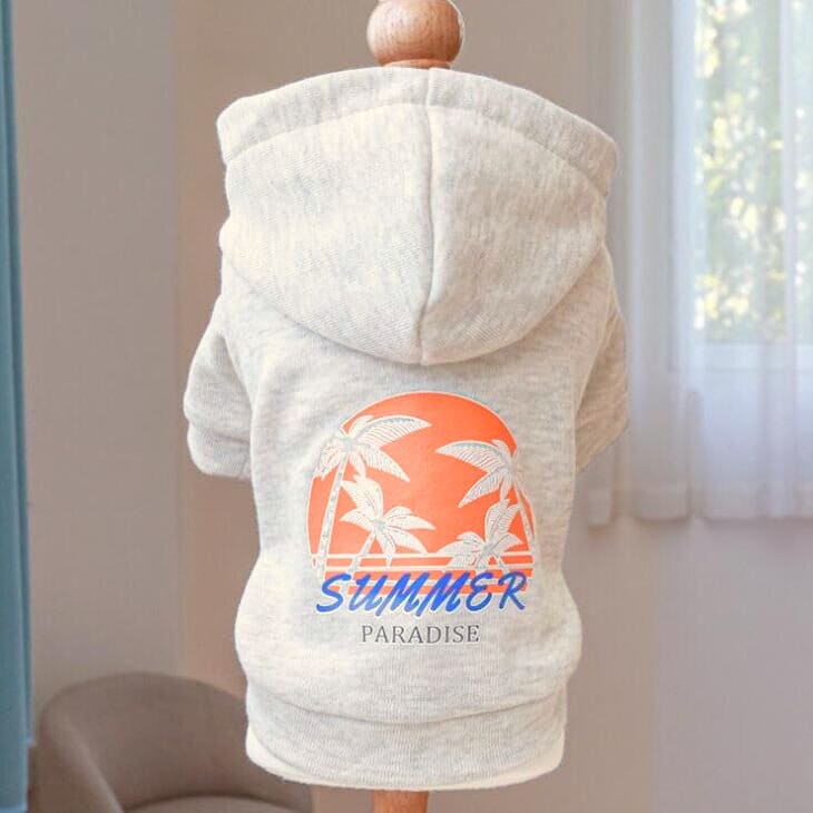 Ķ�İ���! ���襤�� ���� ������ �ա��ǥ��� ������ �ڥåȥ����� ������ ���åȥ��� �ˤλ� ���λ� ������� ����ץ륳���� �ɥå���...